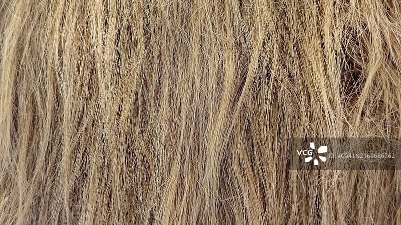 女性头发纹理背景特写图片素材