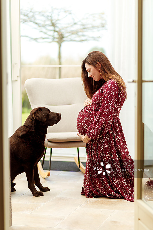 孕妇和她的狗坐在明亮的客厅里图片素材