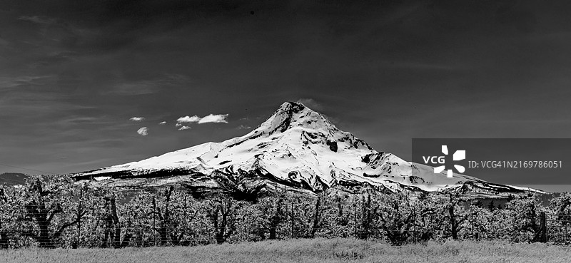 黑白胡德山全景图片素材