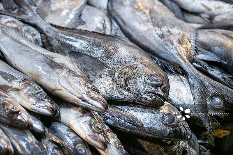 市场上展示的鲜鱼图片素材