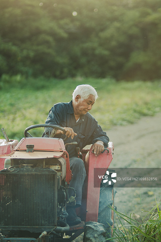 老年男人向年轻人传承农业图片素材