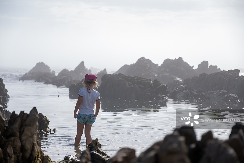 探索浅水岩石池的年轻女孩图片素材
