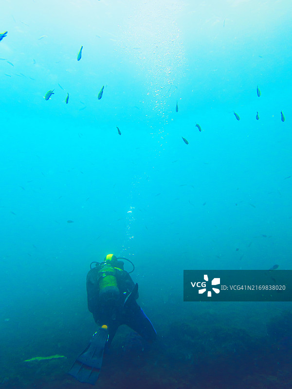 水肺潜水图片素材