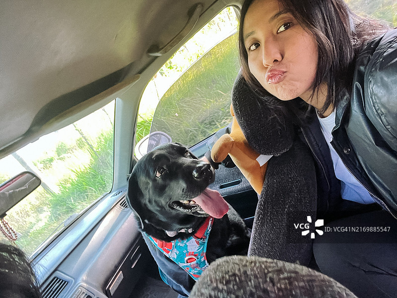 女人在车里和拉布拉多犬自拍，微笑图片素材