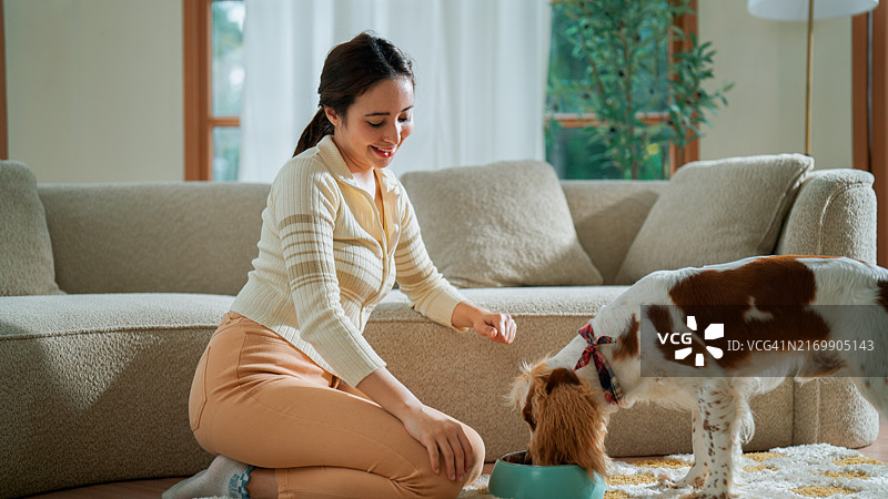 男人和主人在家，被收养的狗从碗里吃东西图片素材