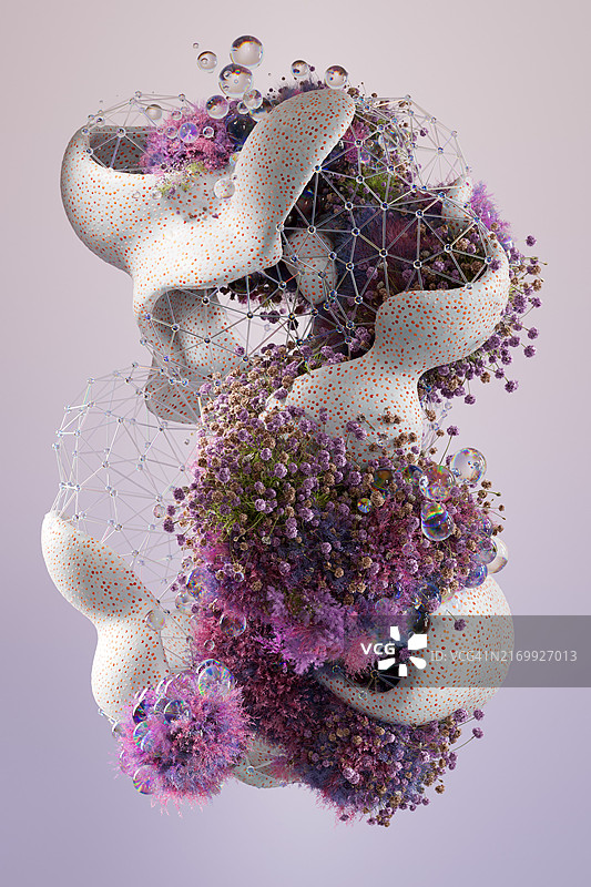 生态系统图片素材