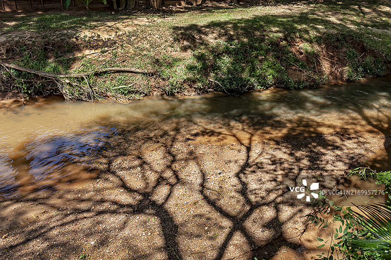 小溪及其河岸和树的轮廓图片素材