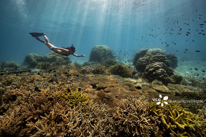 自由潜水员在海底珊瑚上方游泳，阳光透射下来。图片素材