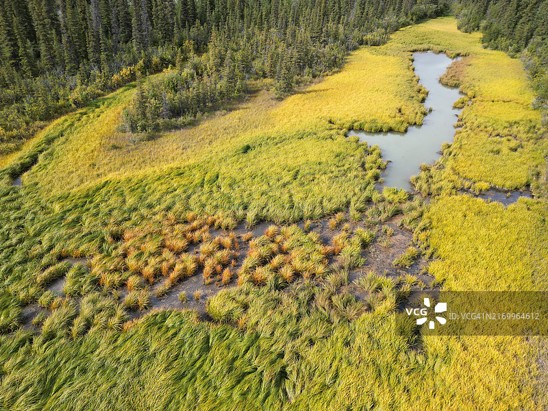 阿拉斯加荒野中的草地图片素材