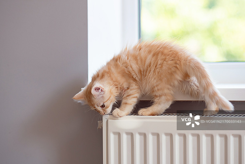 供暖季：公寓里的散热器图片素材