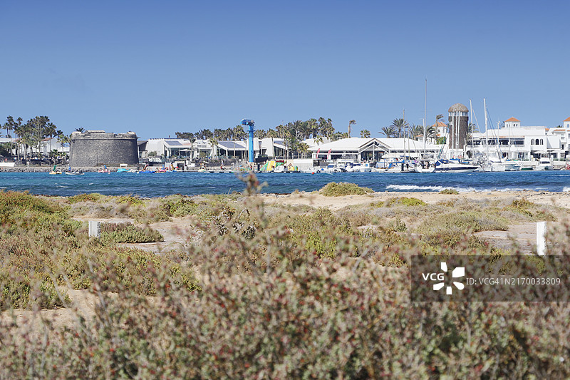 富埃特文图拉岛卡莱塔德夫斯特，加那利群岛图片素材