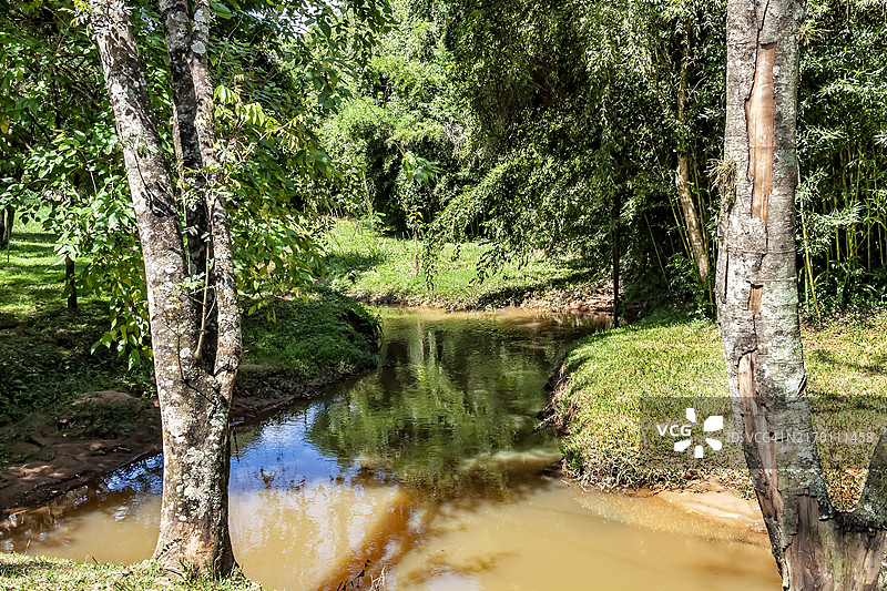 阳光明媚的夏日里的小溪图片素材