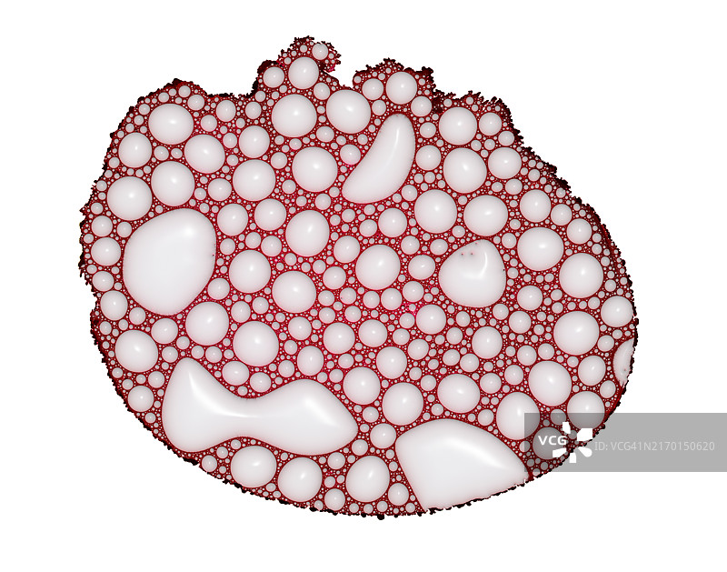 红色液体与白色小液滴在白色背景上滑动图片素材