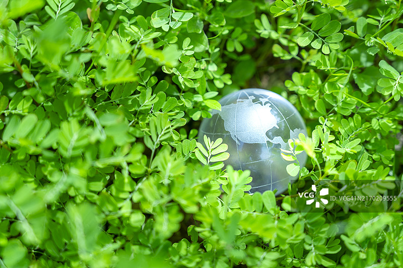 绿色苔藓上的水晶地球仪：保护自然，呵护地球，实现可持续发展图片素材