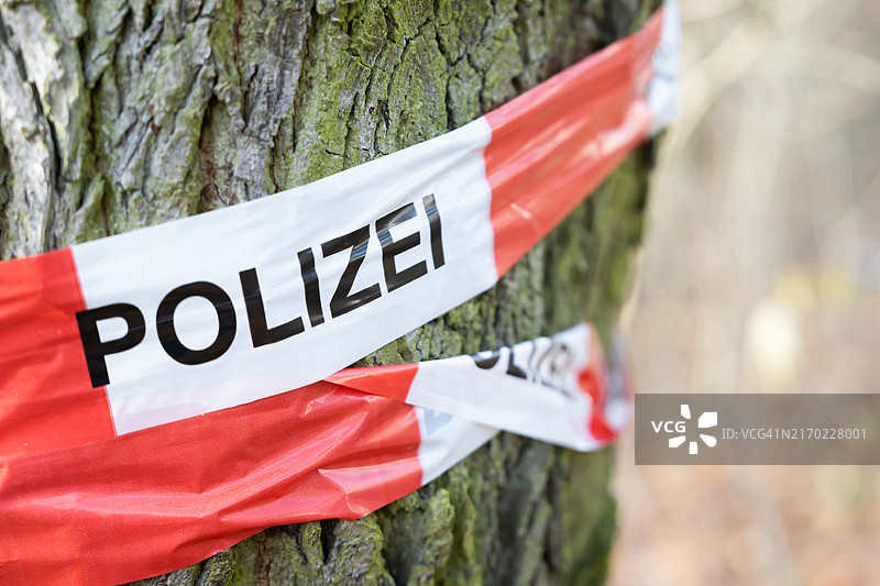 树上的警戒线图片素材