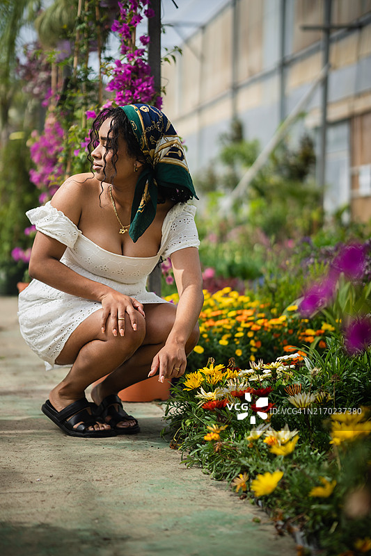 在温室里蹲着照料花卉的女园丁图片素材