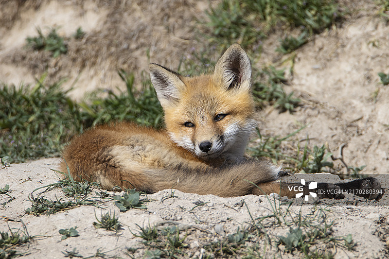 午睡时间图片素材
