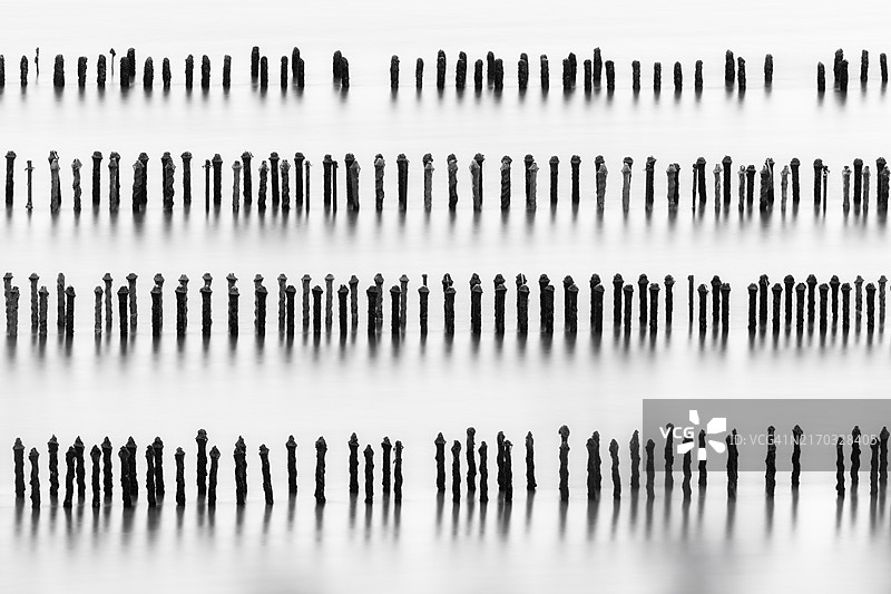 法国布列塔尼的贻贝养殖场图片素材