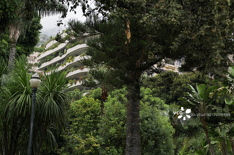 摩纳哥的公寓楼图片素材
