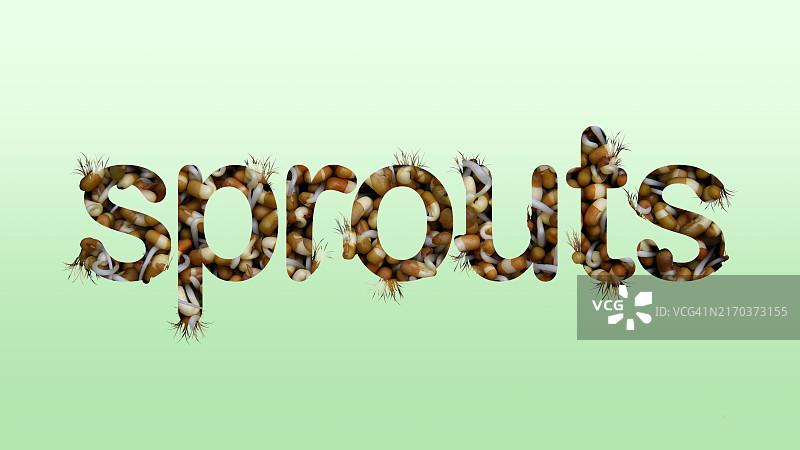 蛾豆芽图片素材