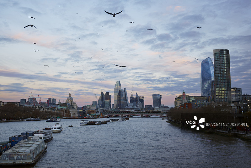 从滑铁卢桥看到的黄昏时分飞向城市天际线的鸟群，伦敦，英国图片素材