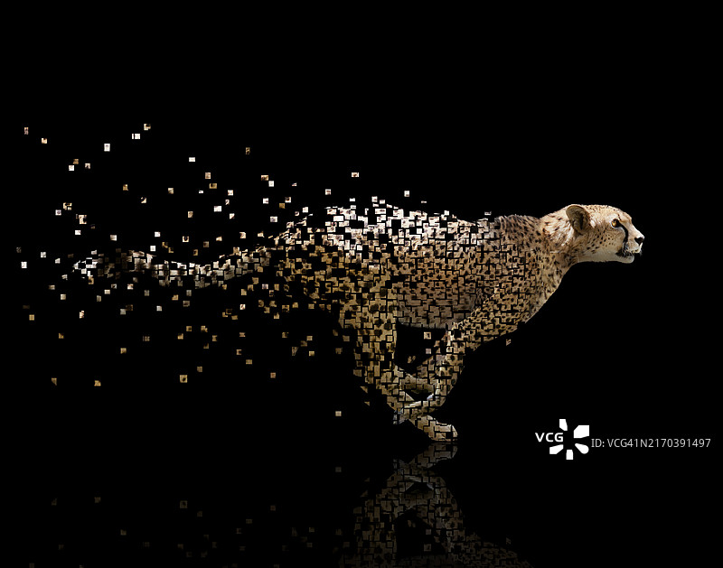 快速电子音乐猎豹图片素材