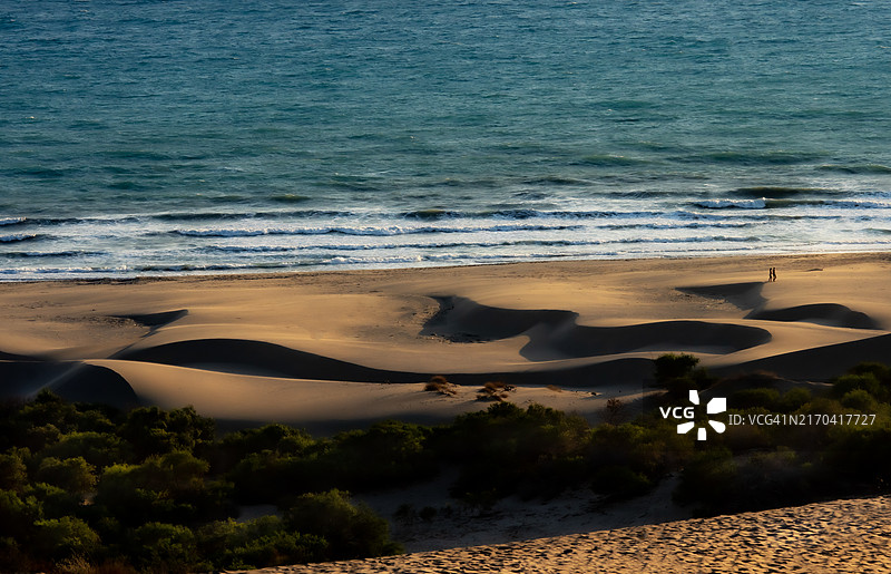 海滩上的沙丘图片素材