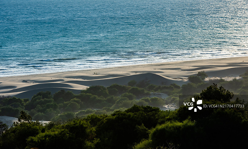 海滩上的沙丘图片素材