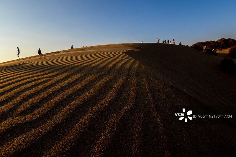 海滩上的沙丘图片素材