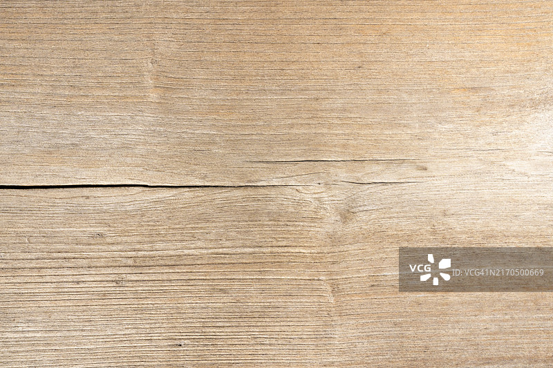 树干表面或纹理背景图片素材