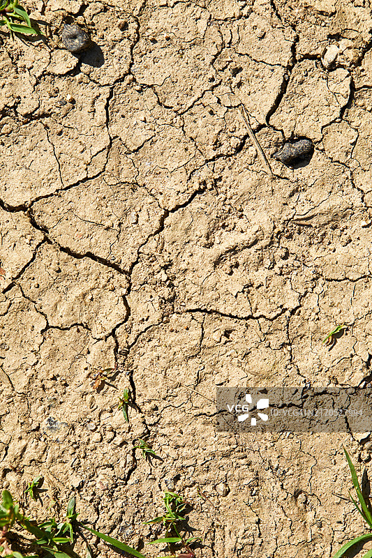 自然风光夏季热浪干旱背景图片素材
