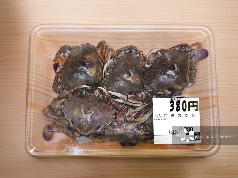 日本八户产新鲜丸蟹（Ovalipes punctatus）图片素材