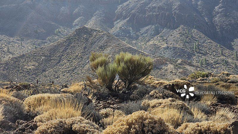 西班牙加那利群岛圣克鲁斯-德特内里费陆地岩石高角度景观图片素材