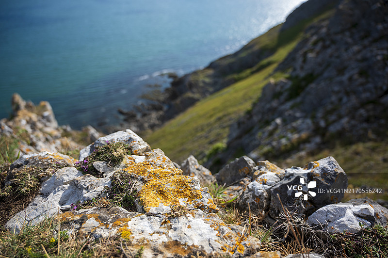 戈尔半岛海岸风光图片素材