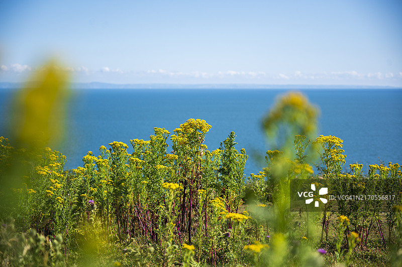 戈尔半岛海岸风光图片素材