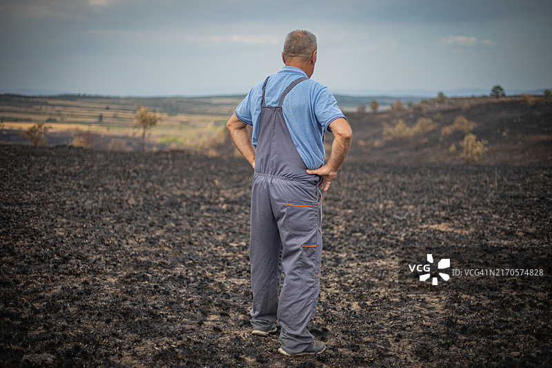 事故与灾难：男子望着烧毁的农田图片素材