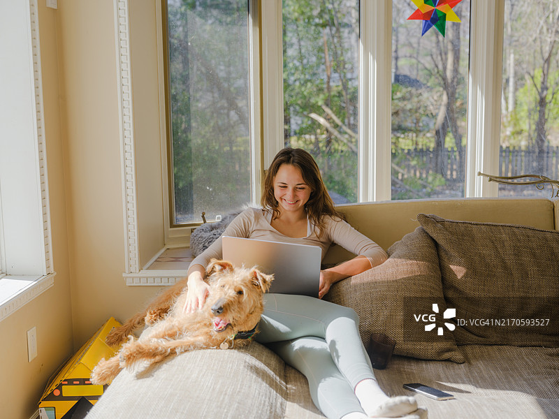 阳光明媚的下午，女人在沙发上用笔记本电脑和狗狗依偎图片素材
