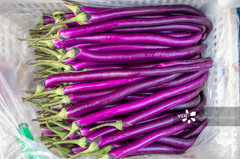 容器中展示的紫色茄子图片素材