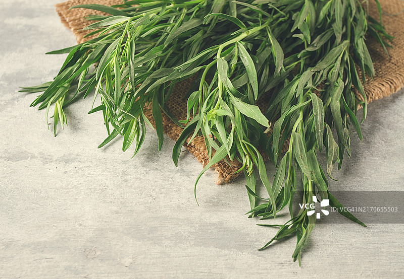 新鲜龙蒿，俯视图特写图片素材