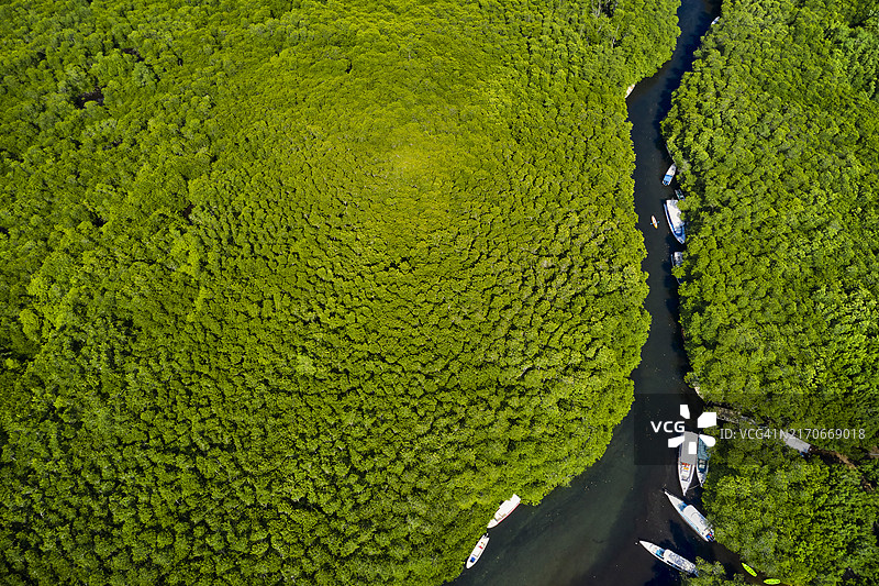 印度尼西亚巴厘岛蓝梦岛红树林图片素材