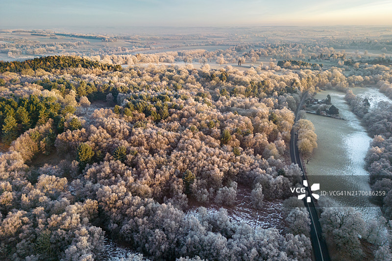 英国冬季森林的日出图片素材