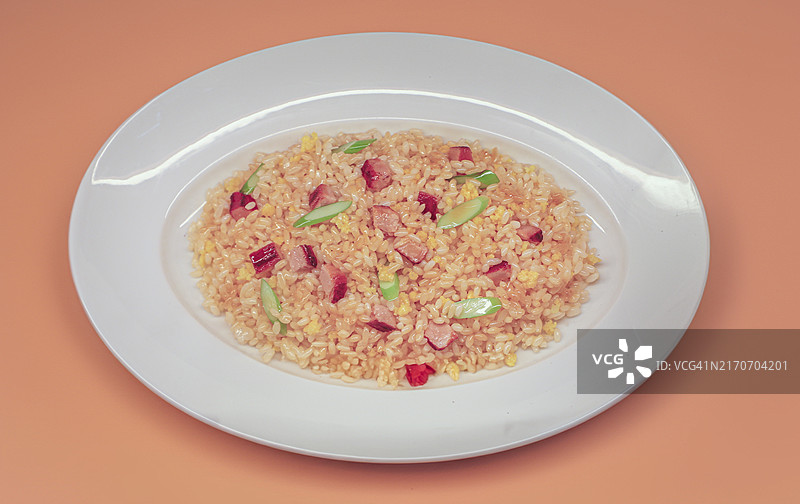 香港叉烧炒饭食物模型图片素材