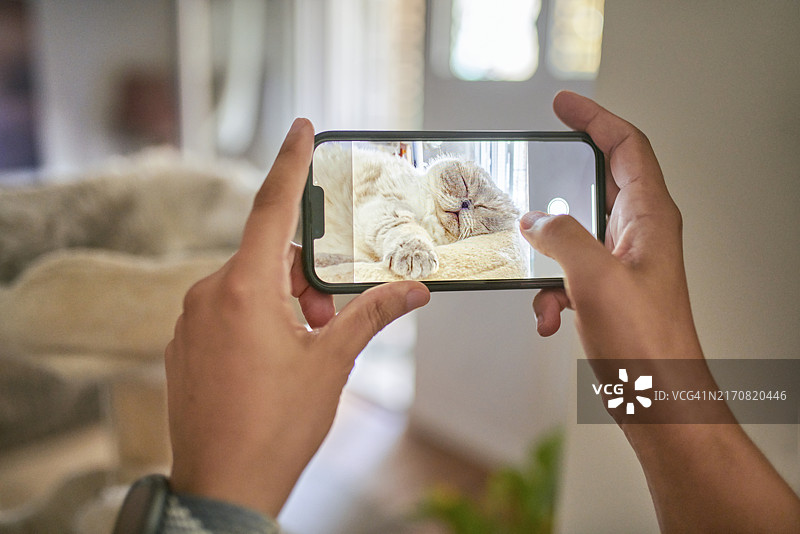 用智能手机给猫拍照的男人的视角图片素材