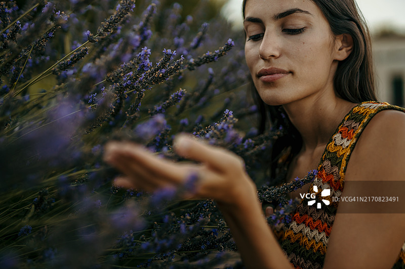 薰衣草的香味带给我灵感图片素材