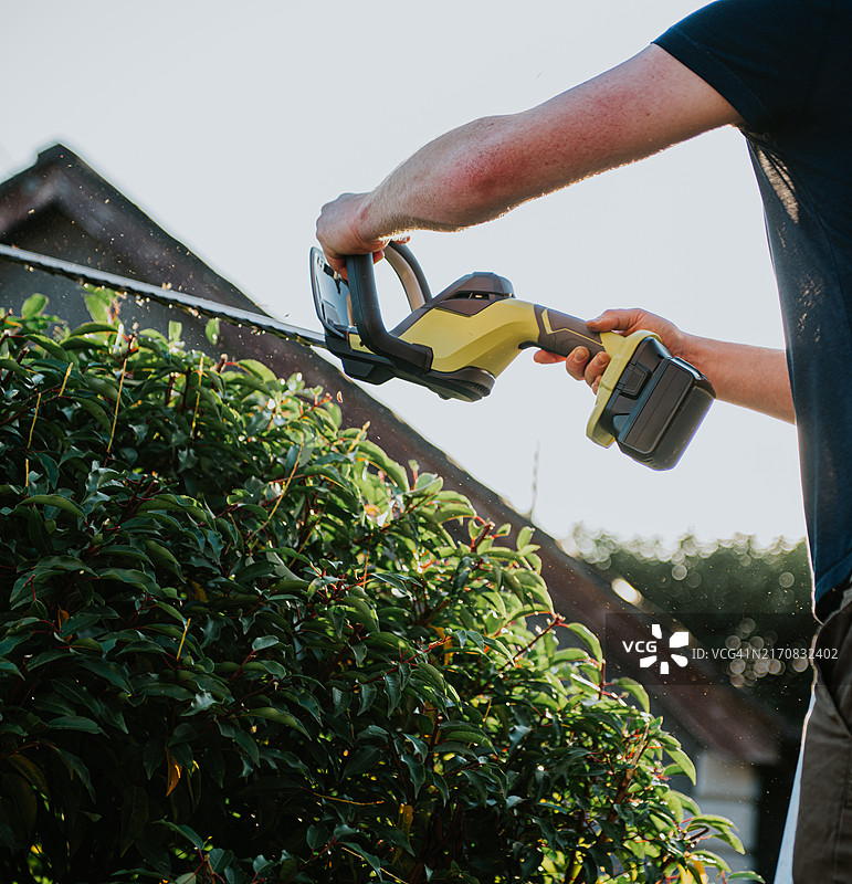 一个人在阳光明媚的住宅花园里用无线绿篱机修剪灌木图片素材