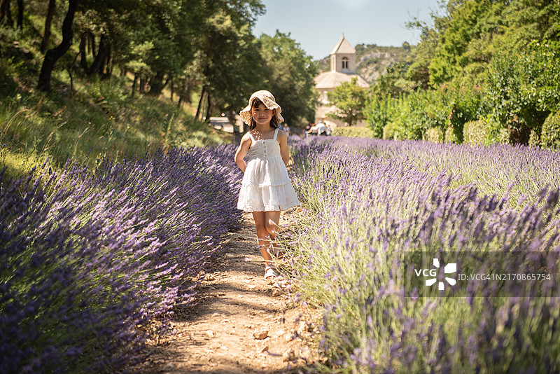 穿着白色连衣裙、戴着草帽的年轻女孩走过薰衣草田图片素材