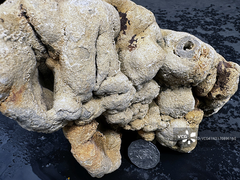 石灰华岩石标本图片素材