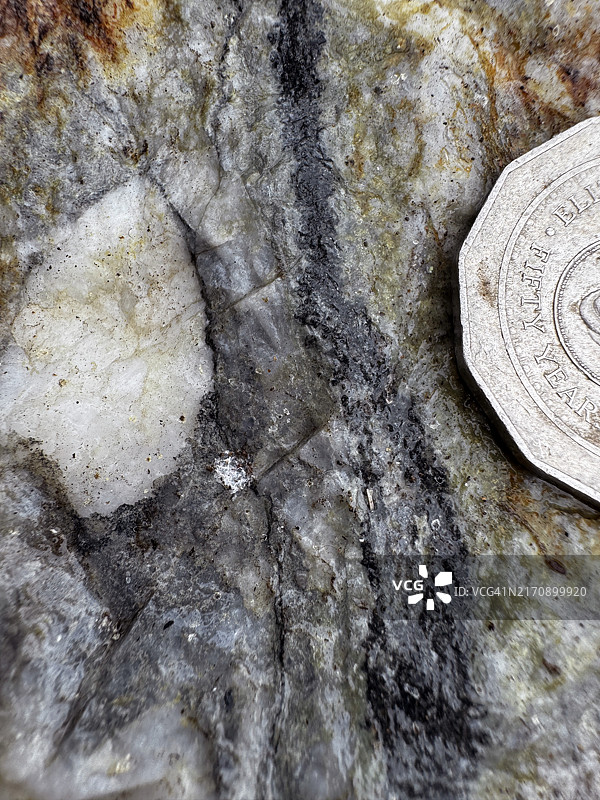 石英礁中的博南扎金矿图片素材