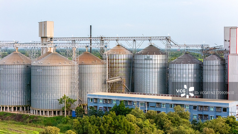 用于干燥和储存不锈钢筒仓谷物的工厂，稻田中央的稻米植物图片素材
