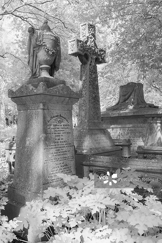 伦敦海格特公墓历史墓碑的红外图像图片素材